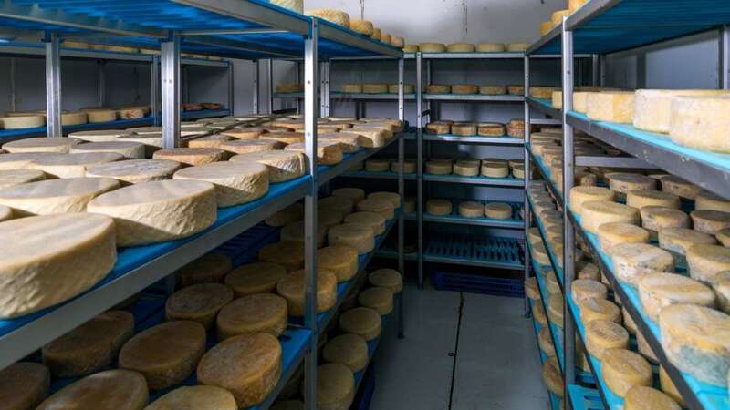 La caída del consumo de quesos y la reconversión del sector para la venta a domicilio ha disminuido la rentabilidad de las queserías (Foto TA)